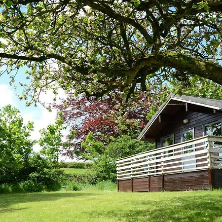 Avallon Lodges Launceston Exterior photo