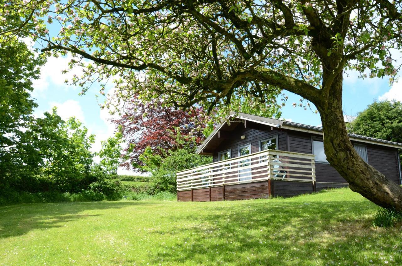 Avallon Lodges Launceston Exterior photo