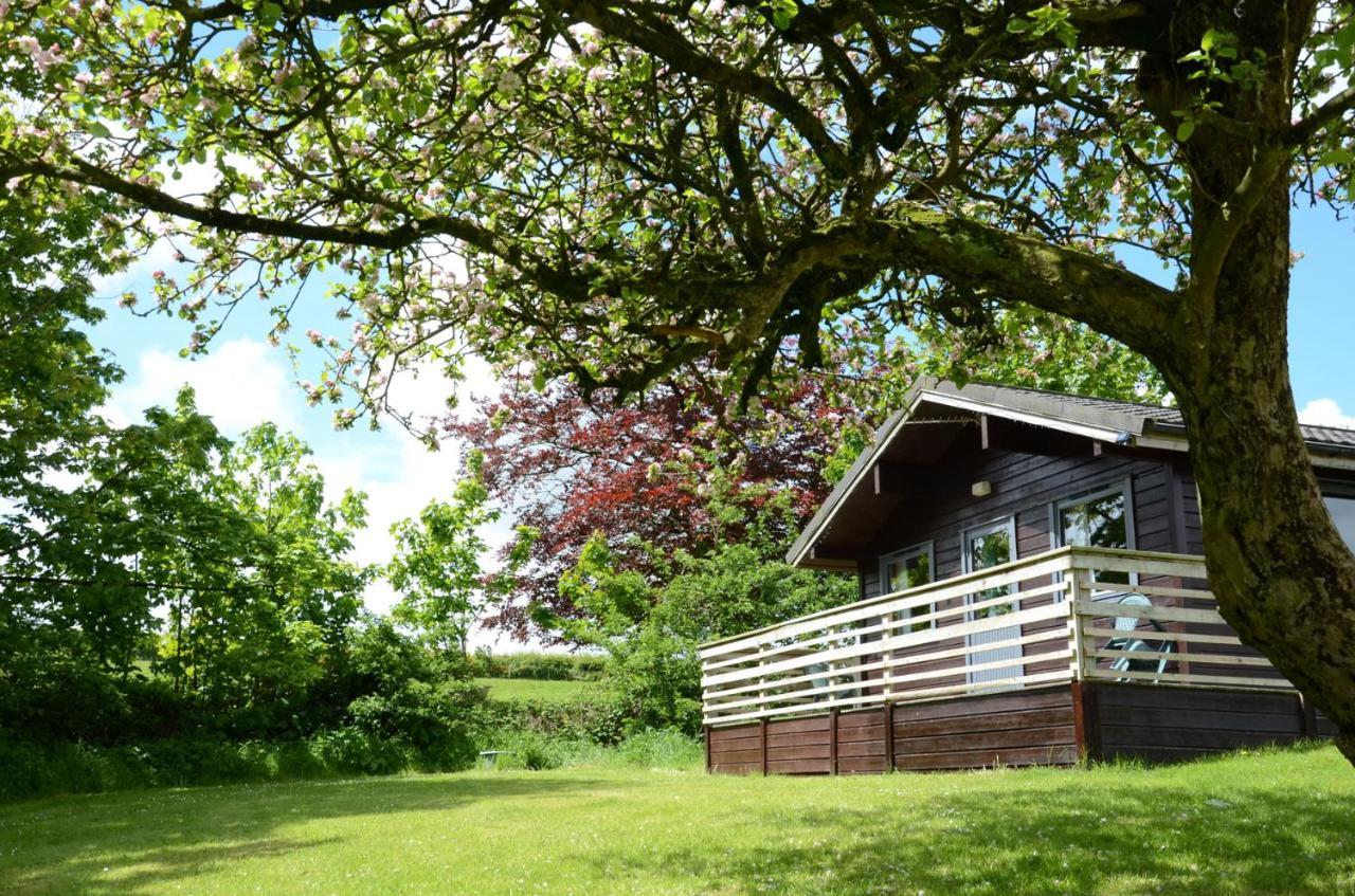 Avallon Lodges Launceston Exterior photo